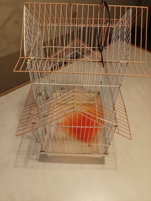 Gaiola para pássaros ou outros animais