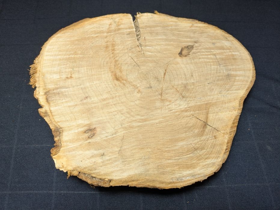 Plaster wiązowy 29x25cm