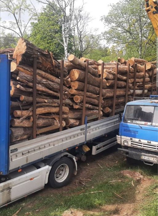 Дрова Дубові Опт з доставкою Київ та області