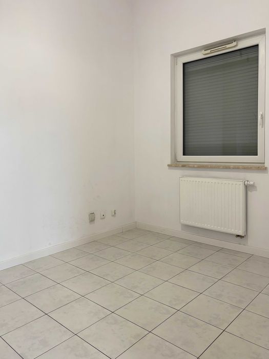 Lokal z witrynami na wynajem