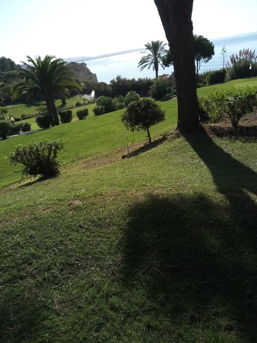 Serviços de jardinagem