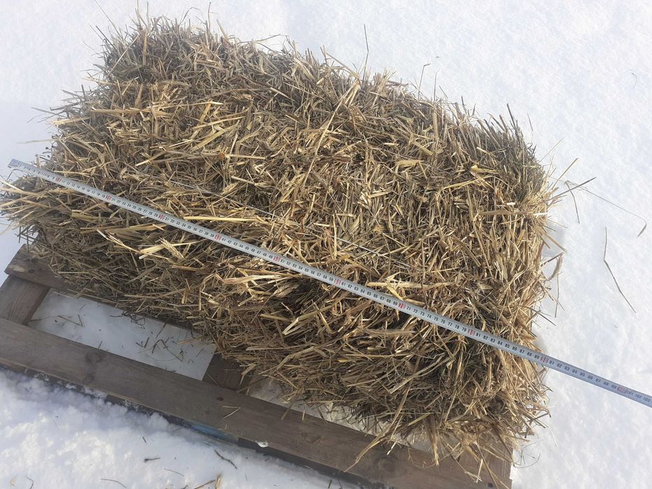 Słoma solidna kostka (90cm x 50cm x 50cm) (ROK 2025)