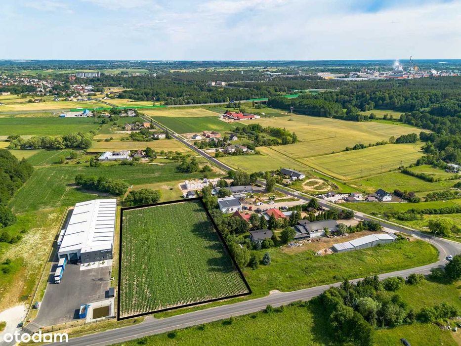 Działka inwestycyjna pod Świeciem - Widok 2