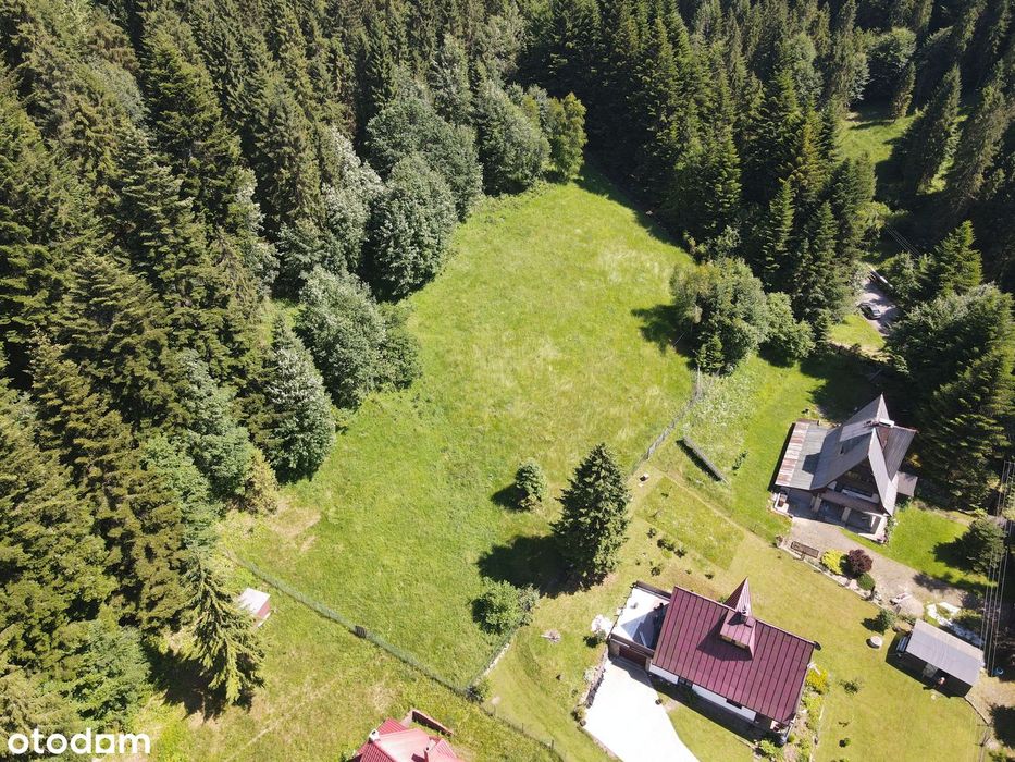 Na sprzedaż działka 3795 mkw, zanurzona w leśnej otulinie – Bystra. - Więcej