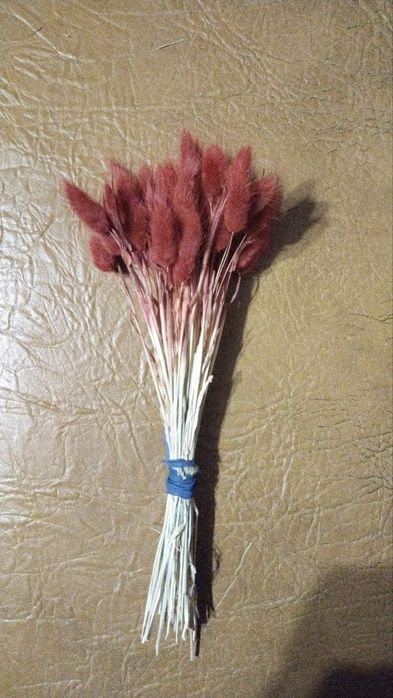 Декоративний лагурус в букети  декор