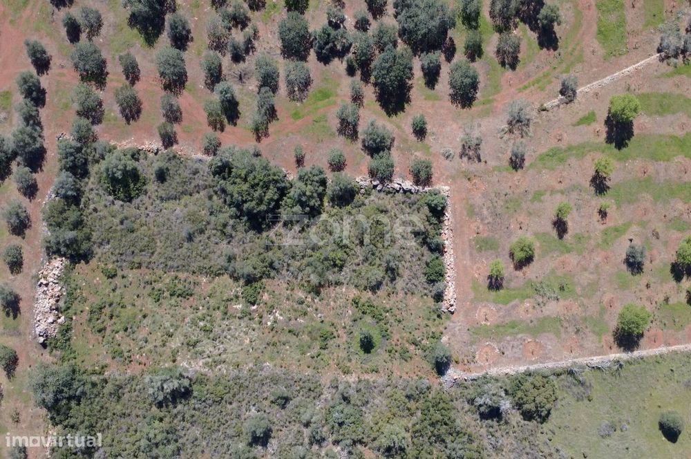 Terreno Rústico com 1390 m² na zona de Lagoão