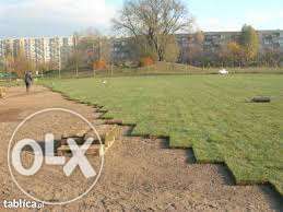 trawniki zakładanie pielęgnacja