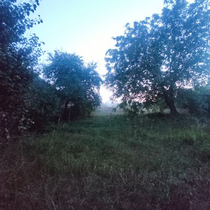 Продаж ділянки в смт Димер