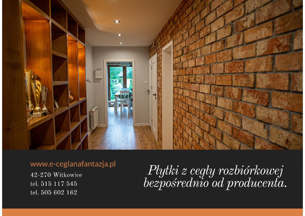 Stare Cegły Dekoracyjne na Ścianę i Elewacje, Kamień Ozdobny, Płytki