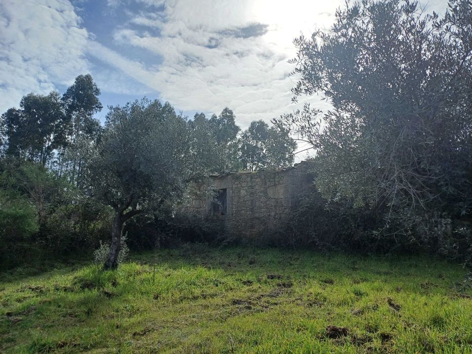 Terreno com palheiro e poço!