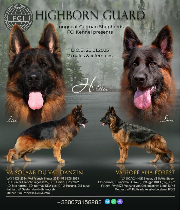 Щастя яке можна придбати