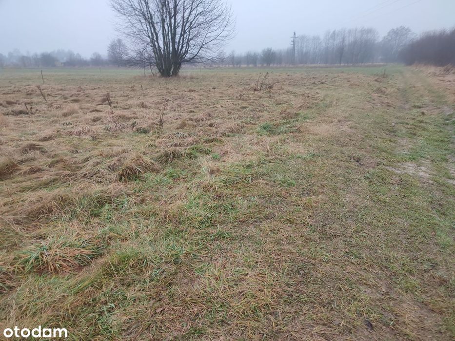 Okazja inwestycyjna - Działka przeznaczona pod zabudowę mieszkaniową - Widok 5