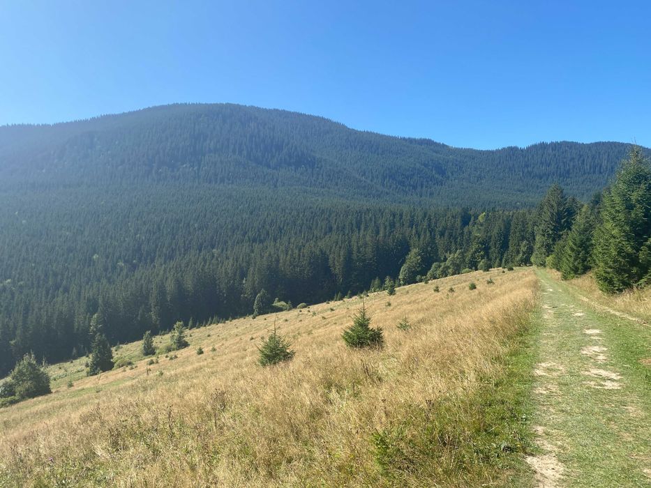 Земля під екопоселення 26 гектарівів