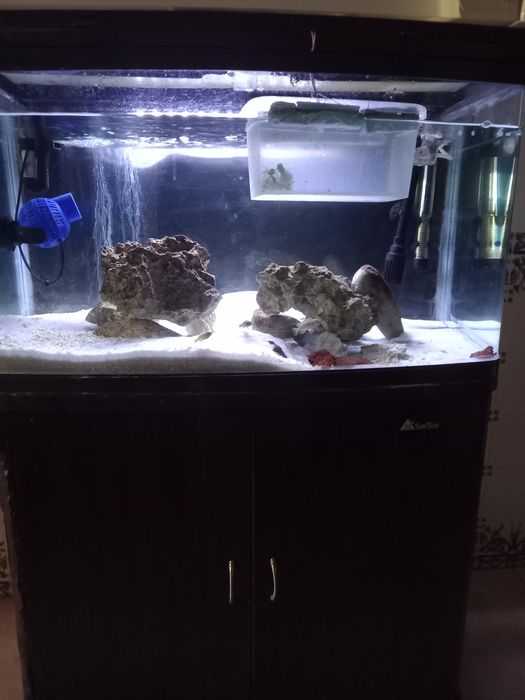 Aquário para peixes