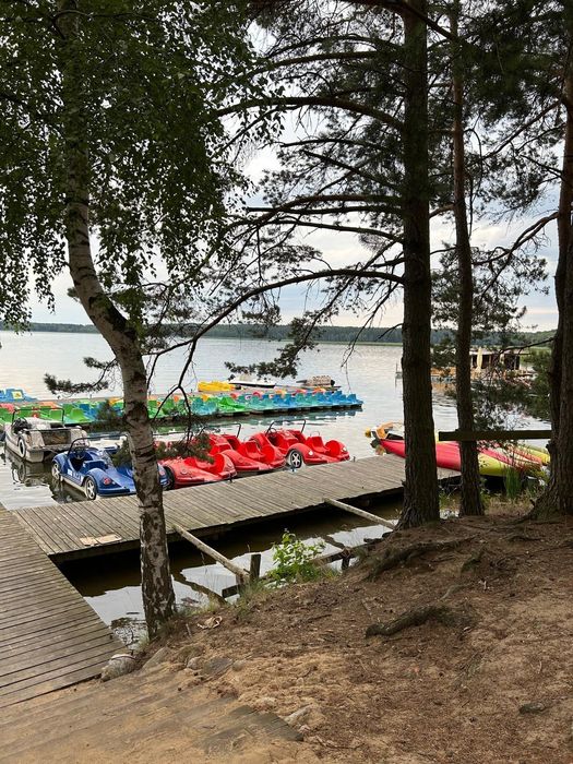 Domek na wynajem  nad Zalewem Koronowskim  Pieczyska