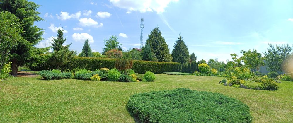 Dzialala rekreacyjna 6 arów