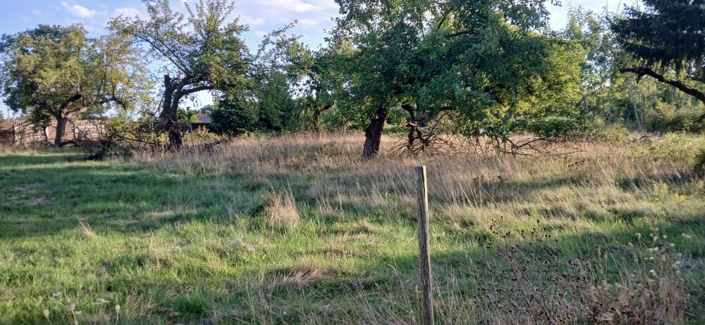 Działka 1409m² z warunkami zabudowy
