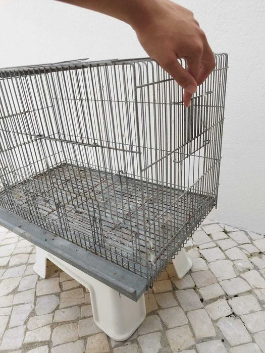 Viveiros/Gaiolas para canários, exóticos, pequenos psitacídeos