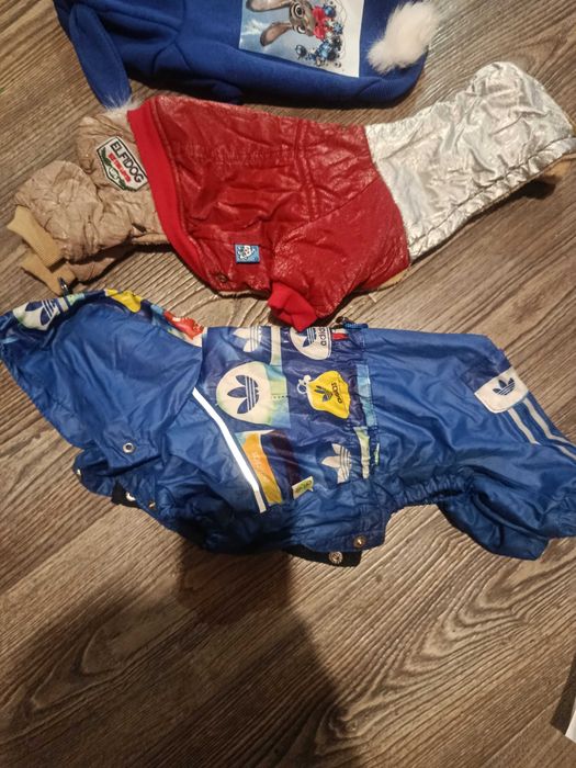 Срочно одежда для собак