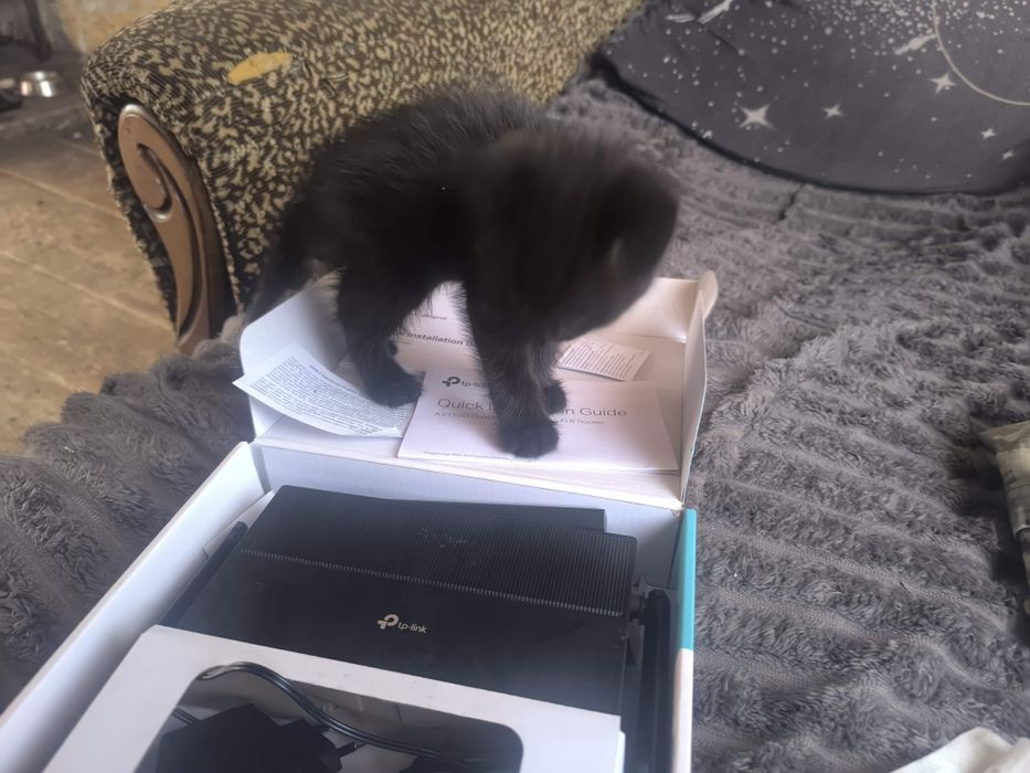 Фай-фай роутер Якісний доступ до Інтернет мережі