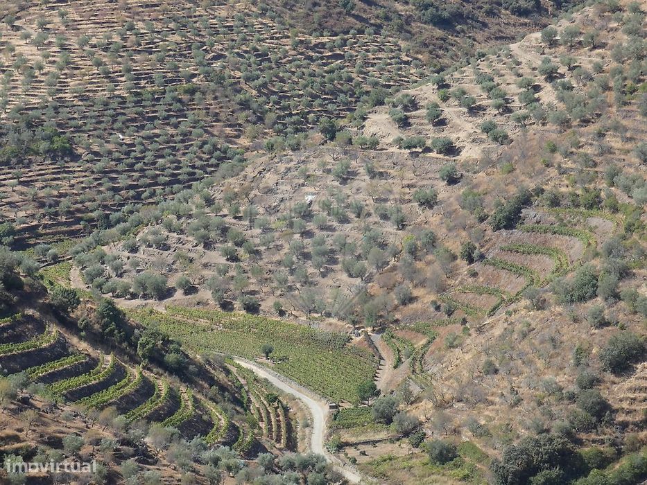 Terreno  para venda — Vale de Figueira, Viseu