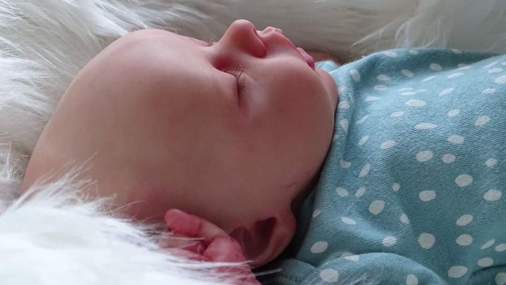 Oryginalna Lala Reborn