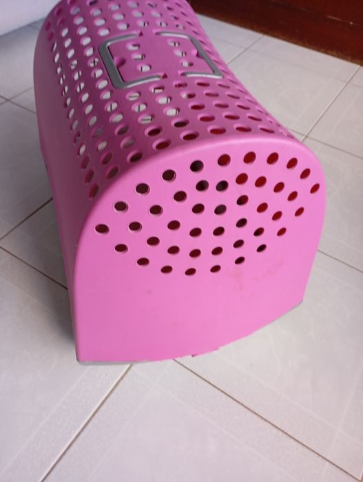 Vendo transporte gato