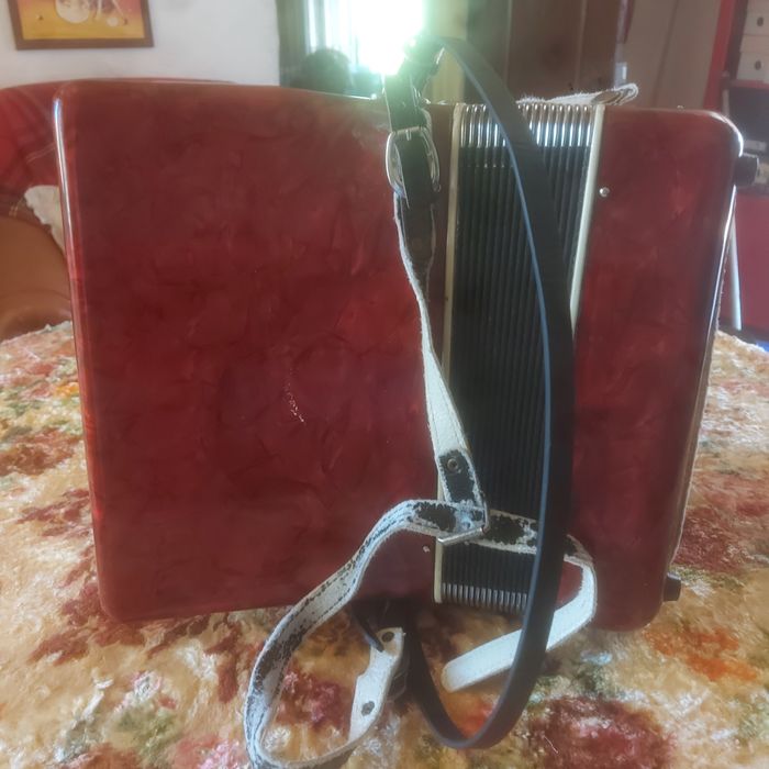 Acordeão em bom estado