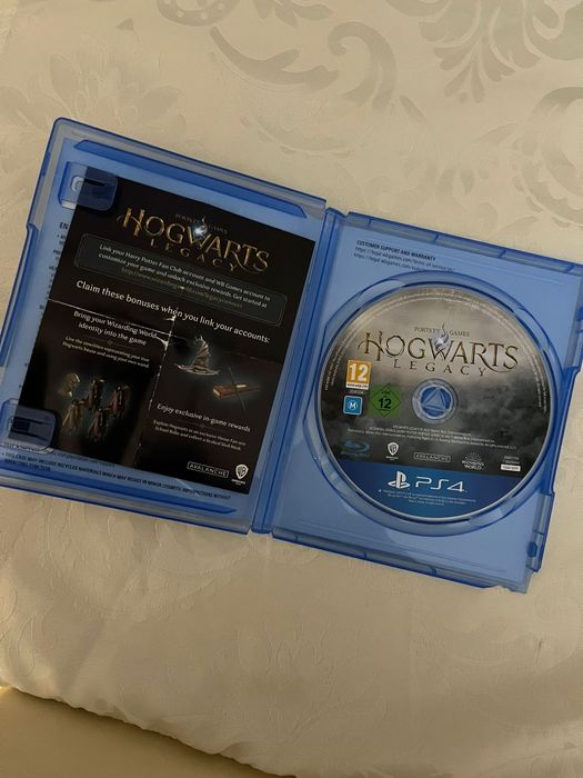 Harry Potter Hogwarts Legacy Harr