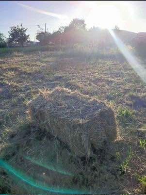 Vendo feno para carregar na hora