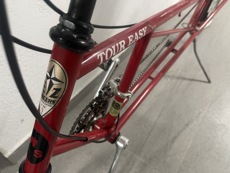 Bicicleta reclinada Easy Racer Tour easy