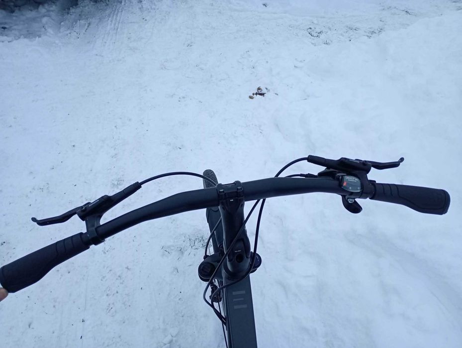 Kalkhoff endeavour 8