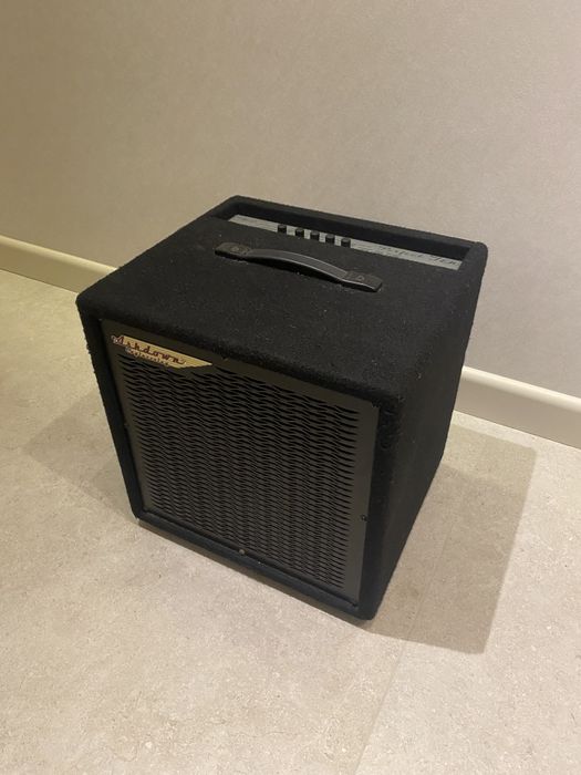 Piecyk basowy Ashdown Perfect ten