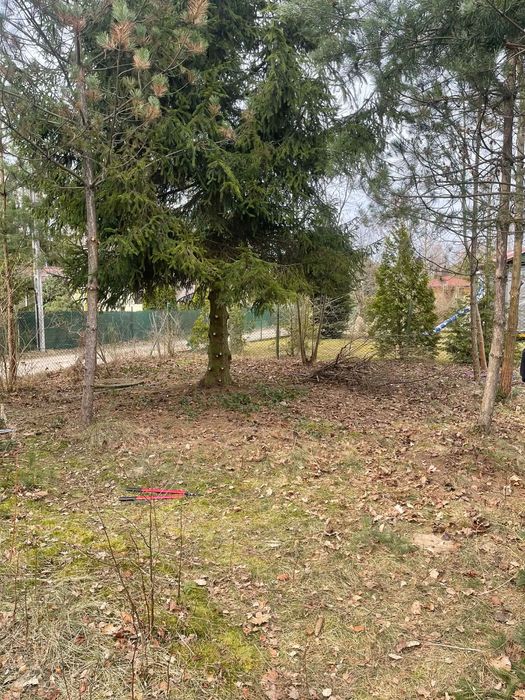 Usługi ogrodowe pomoc po pracy i weekendy