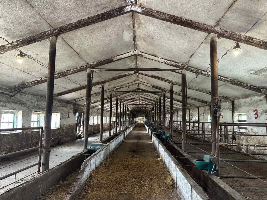 Продам дорожні Плити забороні металопрокат