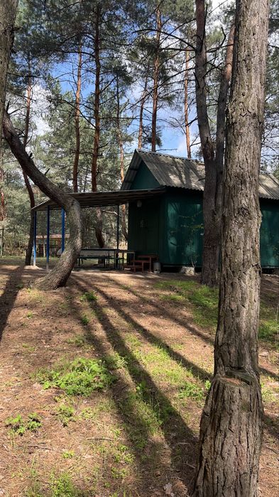 База відпочинку «ДНІПРО» у лісі, біля ріки Орель ПРОДАЖ
