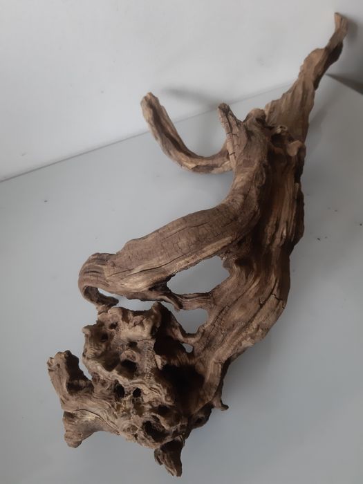 Korzeń do akwarium/terrarium