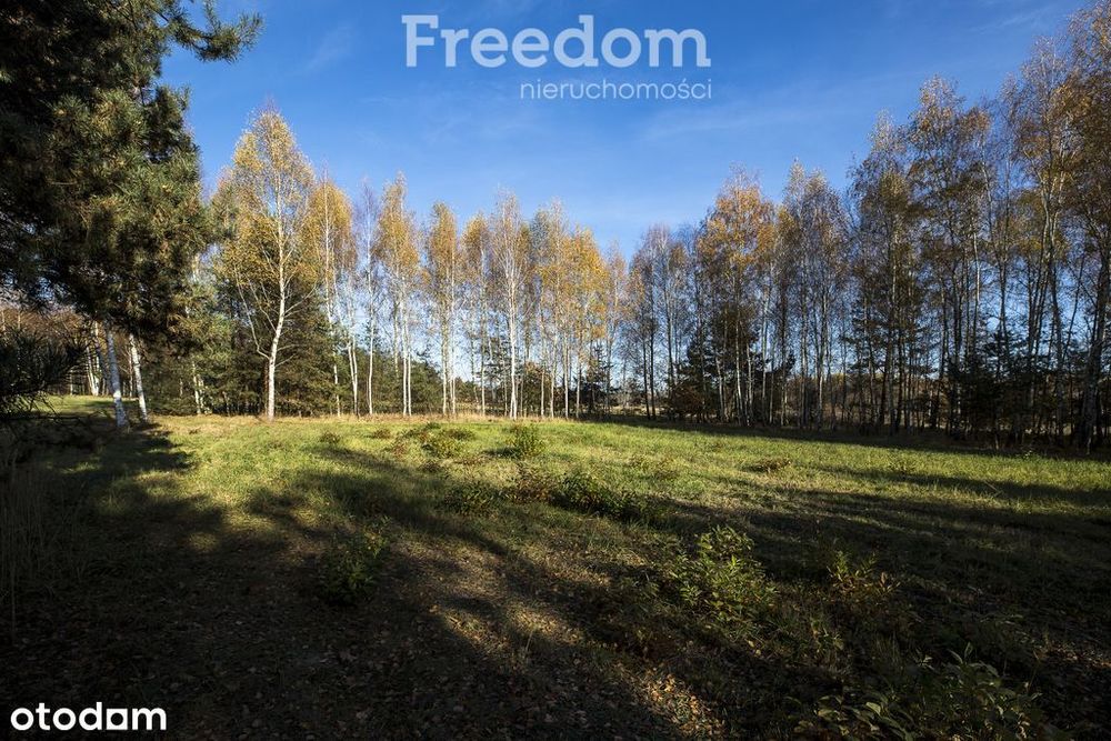 Działka 2883 m² przy lesie – Tarnobrzeg Ocice