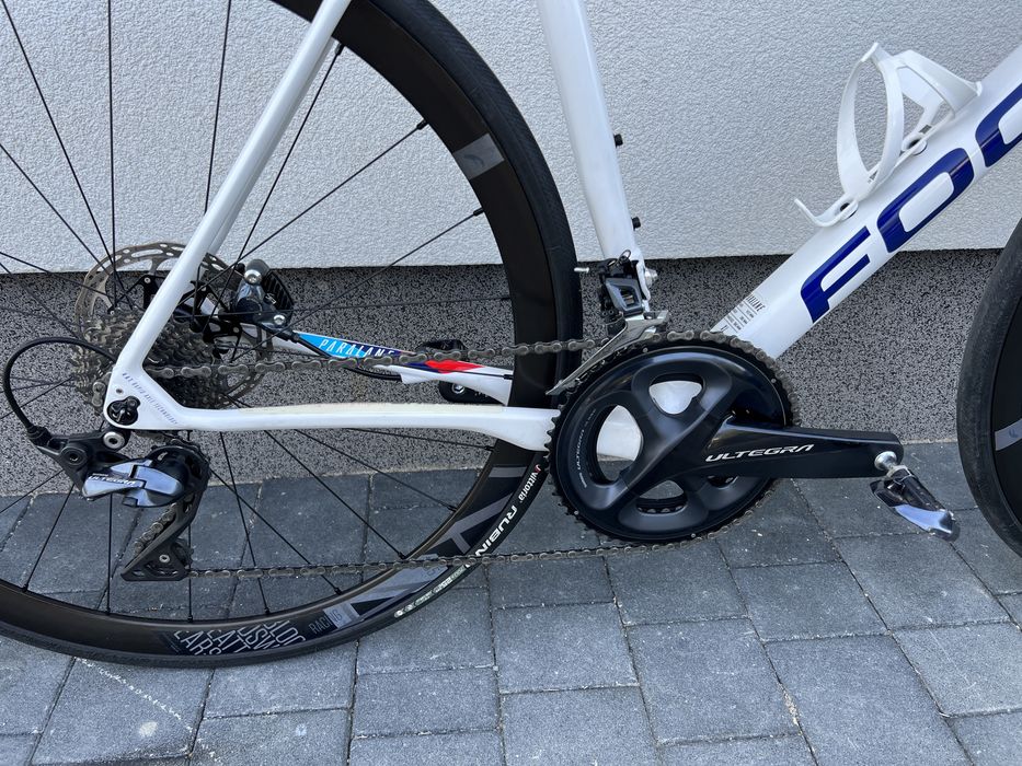 Focus Paralane Carbon