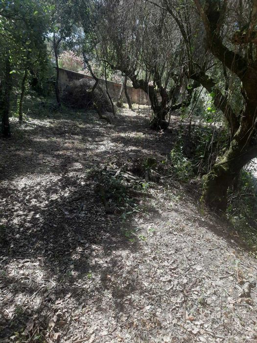 Terreno Rústico em Seiça (Ourém)