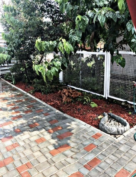 Дом новой постройки в застроенном месте