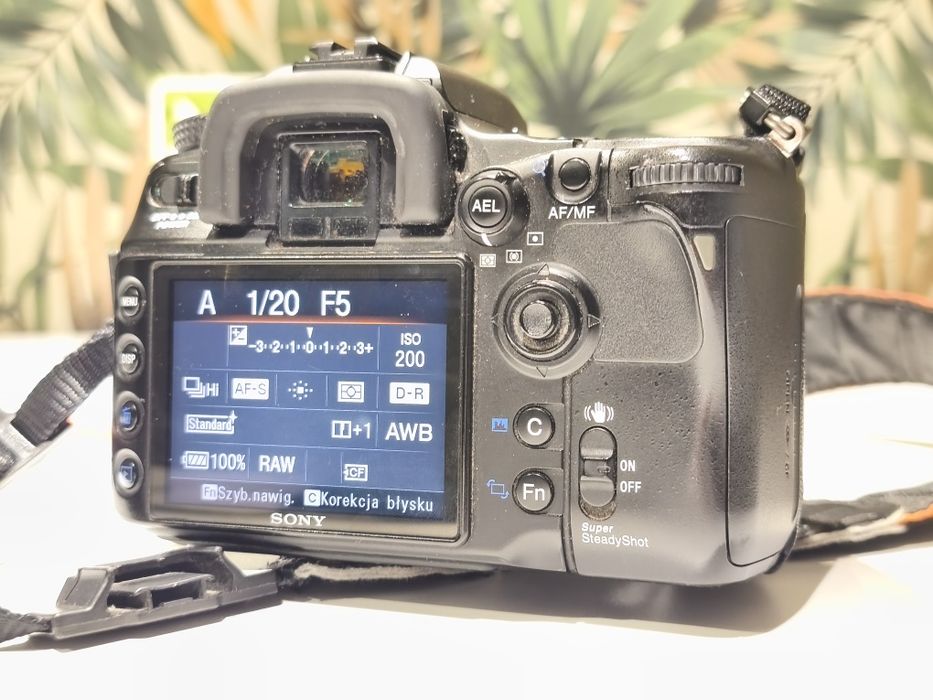 Dla Ciebie wszystko - sony a700 - w kategorii Fotografia