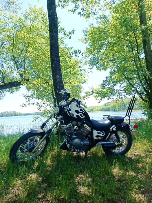 Yamaha virago 535 bak, custom sportster