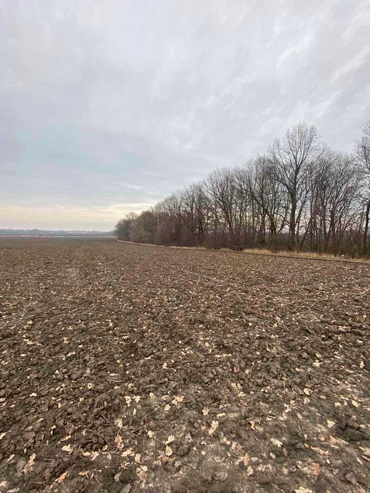 Продаж земельної ділянки, с/г призначення, Немирівське шосе, 140 соток