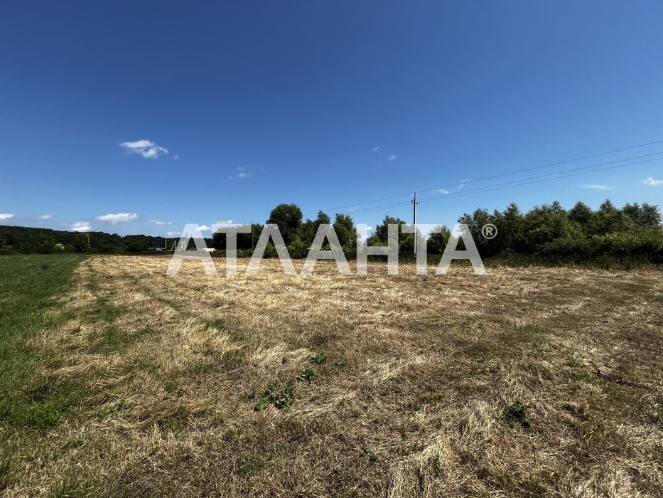 Продаж земельної ділянки у Чишках