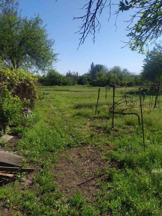 Продам Дом село Пришиб