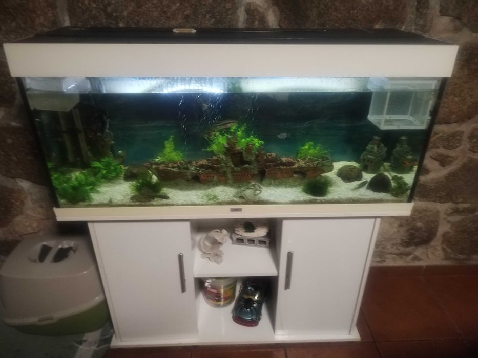 Aquário completo