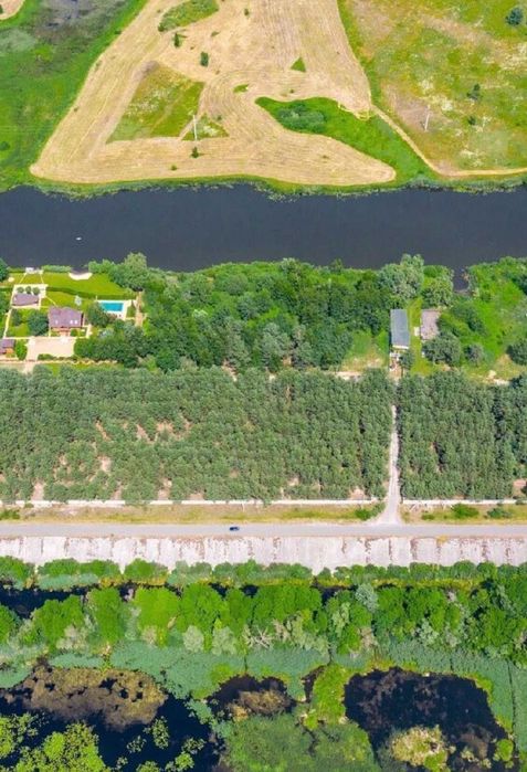 Без комісії! Продаж земельної ділянки Дамба Проців-Кийлів 12 сот ділянка в соснах - View 5
