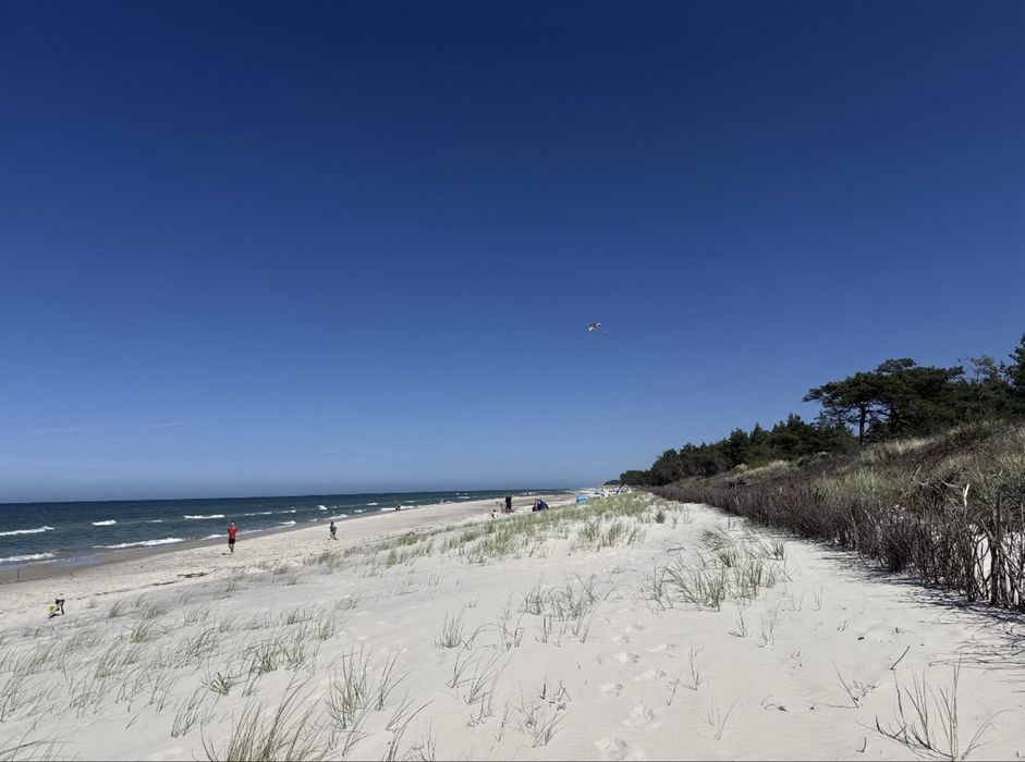 Klimatyczny domek nad morzem w lesie(Sasino)