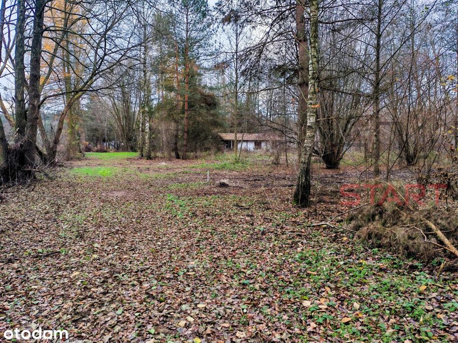 Urokliwa działka w idealnej lokalizacji - Widok 3
